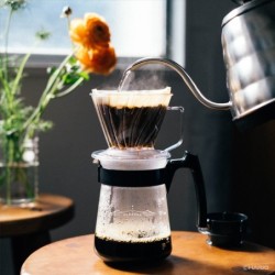 hario pegasus 02 coffee dripper - consistent pour over