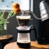 hario pegasus 02 coffee dripper - consistent pour over