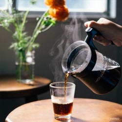 hario pegasus 02 coffee dripper - consistent pour over