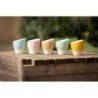 Clubhouse Volcano Espresso Cup 70CC - Set Of 2 | Buy Now