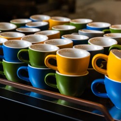 Clubhouse Tulip Cappuccino Cup 210cc