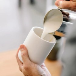 fellow monty milk art cups white 11oz - elegant