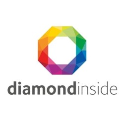 eureka 55mm diamond inside burrs - precision