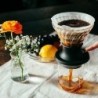 Buy Hario Switch Immersion Coffee Dripper | ECS USA