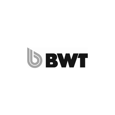 bwt